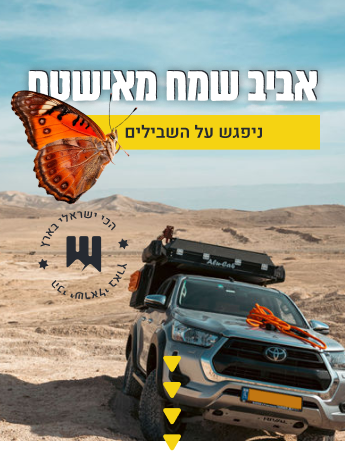 אביב שמח מאישטח אביב שמח מאישטח