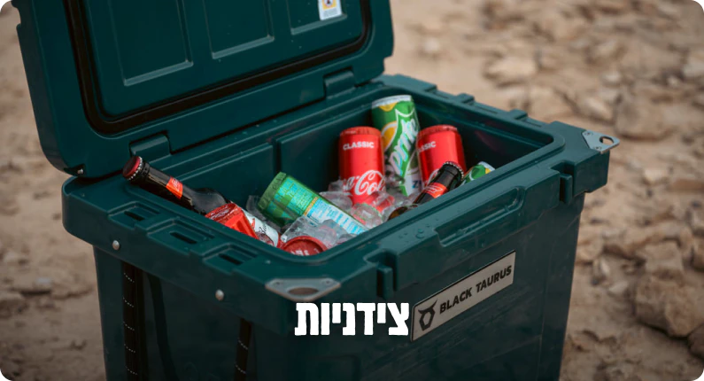 צידניות